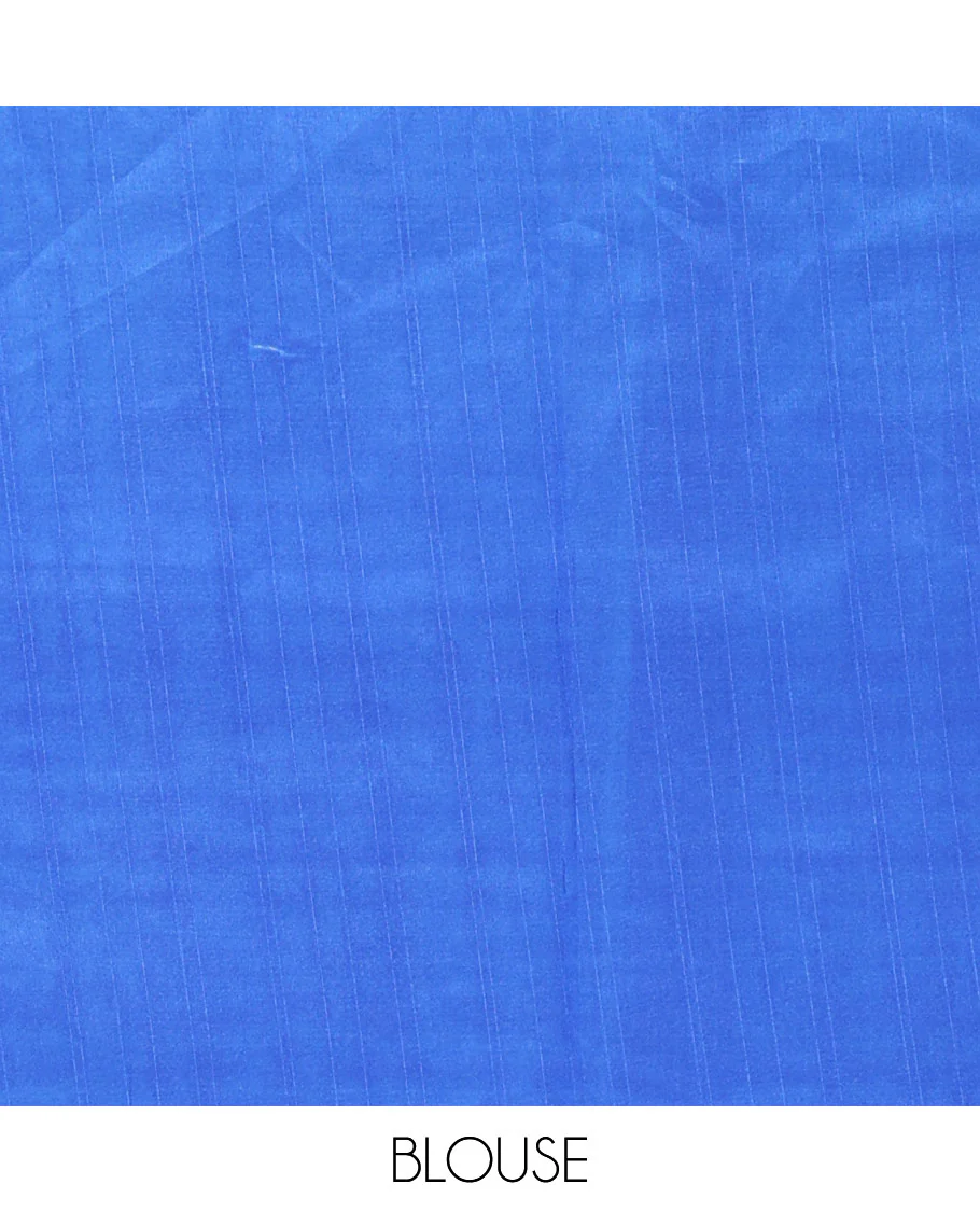 Chikku color swastika & Hindi typography printed jute cotton saree, contrast printed border, printed pallu & plain royal blue blouse - Image 4